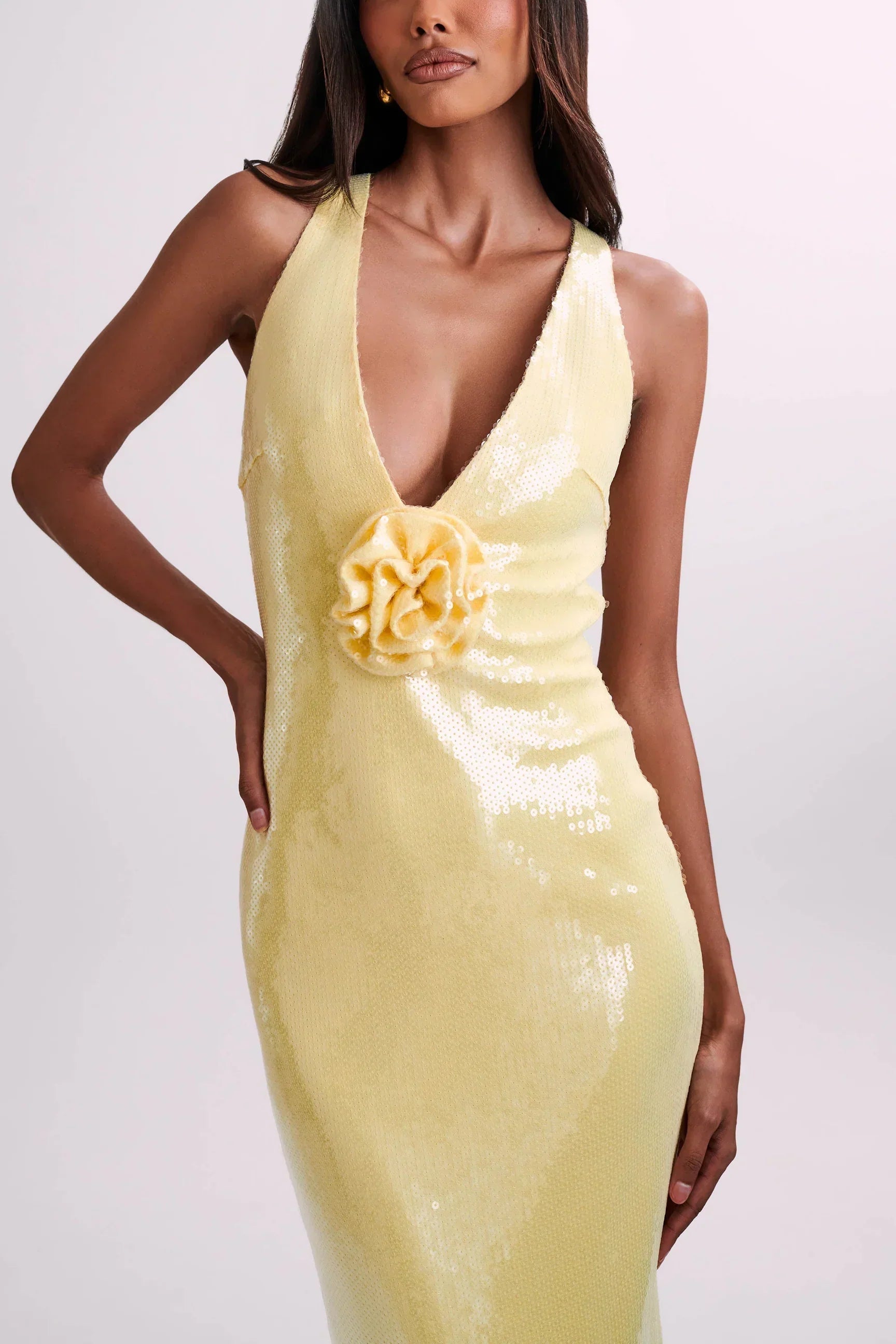 Sequin maxi dress with roses symbol